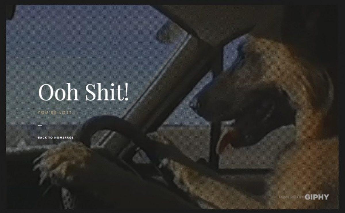 Aradığınız Şeyi Bulamadığınıza Sevineceğiniz, 9 Yaratıcı ’404 Not Found’ Sayfası!