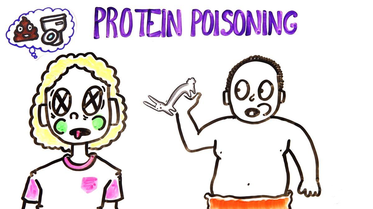 Hayatımız Boyunca Sadece Et Yeseydik Ne Olurdu? (Video)