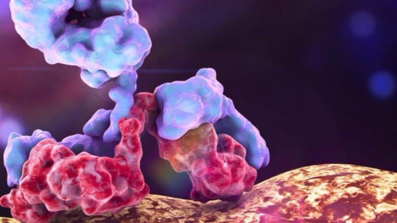 Alerjik Reaksiyonları Başlamadan Sonlandıran Yeni Bir Tedavi Yöntemi Keşfedildi