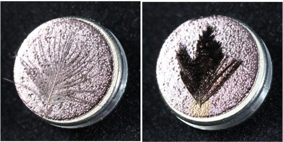 Çiftleşirken Dünyanın En Siyah Maddesine İlham Olan Canlı: Cennet Kuşu