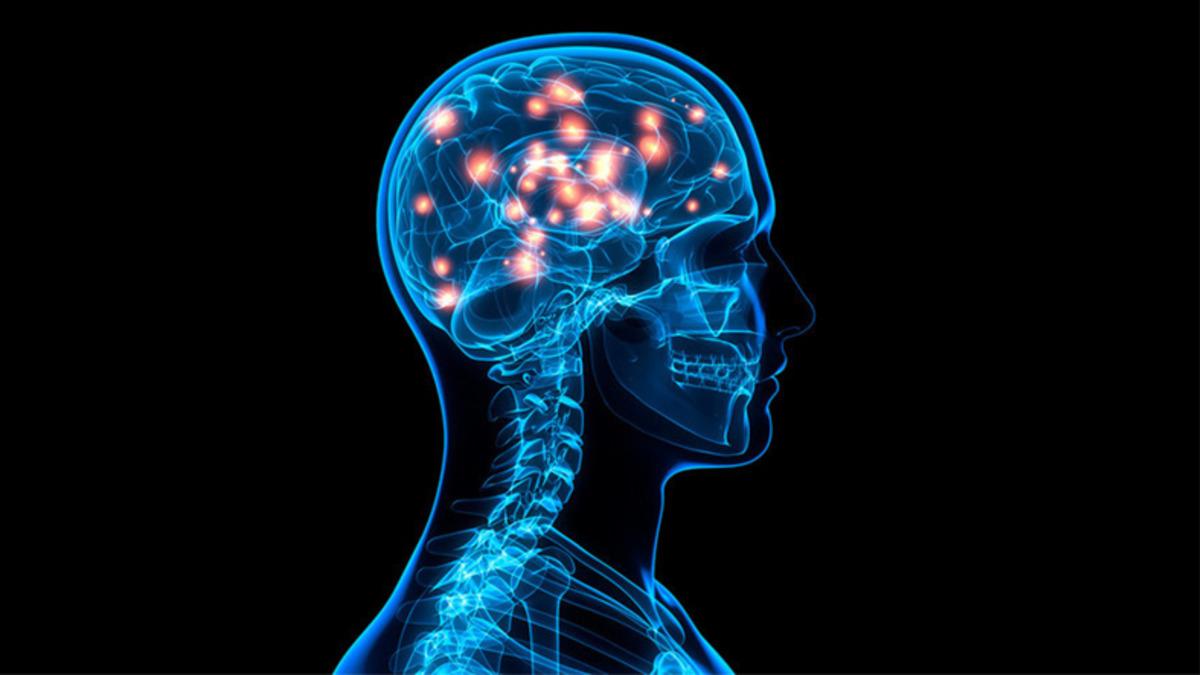 Beynimiz Neden Son Anda Fark Ettiği Kötü Eylemi Durduramaz?