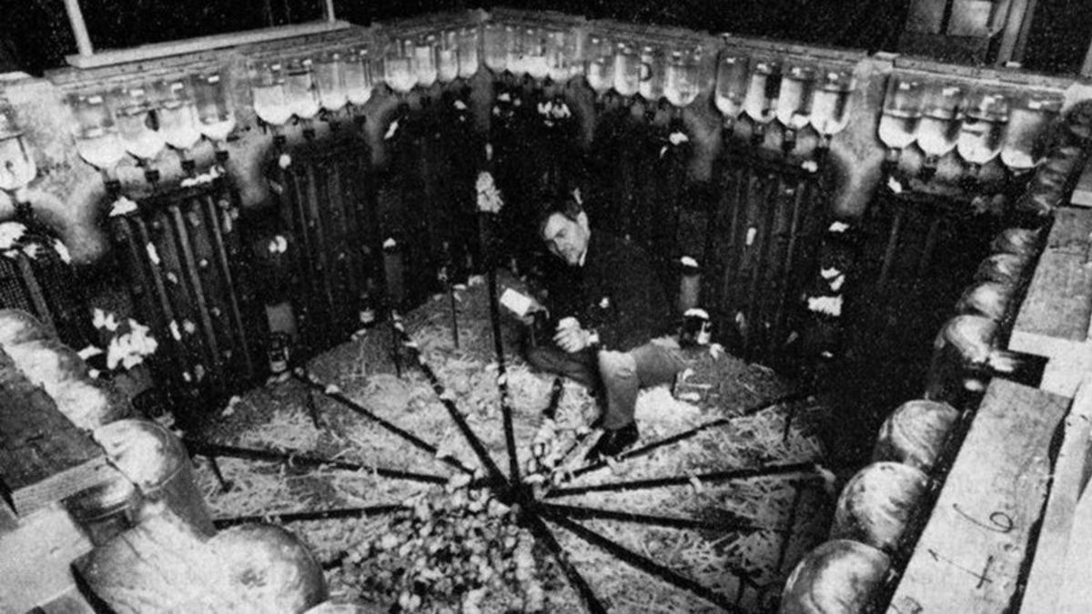 Aşırı Nüfus Artışının Toplumları Nasıl Yok Ettiğini Gösteren Deney: Universe 25