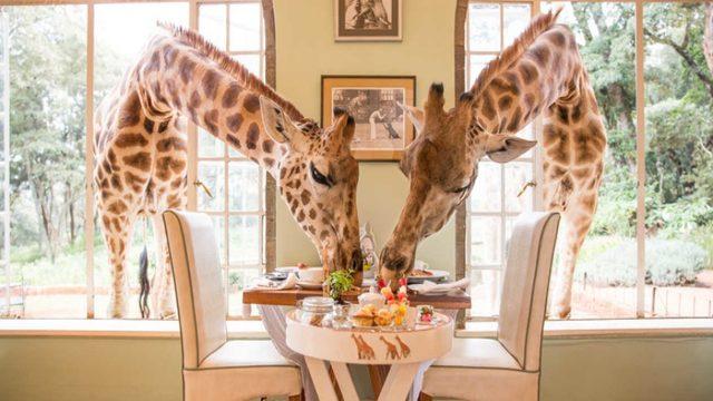 Ah Bir Zengin Olsak: Görür Görmez Gitmek İsteyeceğiniz 16 İlginç Otel