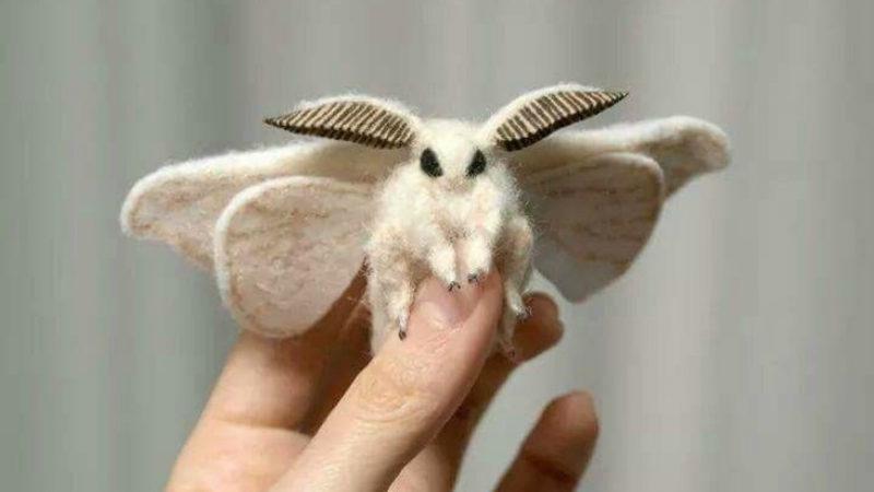 Her Biri Yeni Bir Pokemon Karakteri Olmaya Aday, 8 Gizemli Canlı Türü