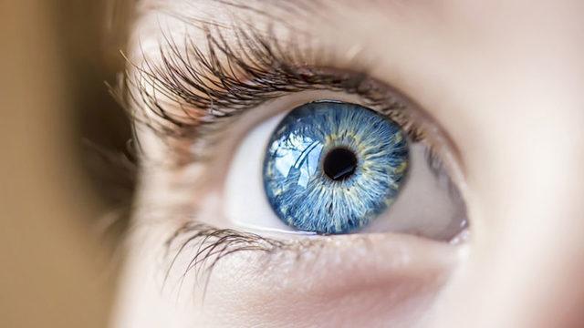 Mavi Gözler, Mavi Pigment İçermemelerine Rağmen Neden Mavi Renkte Görünürler?