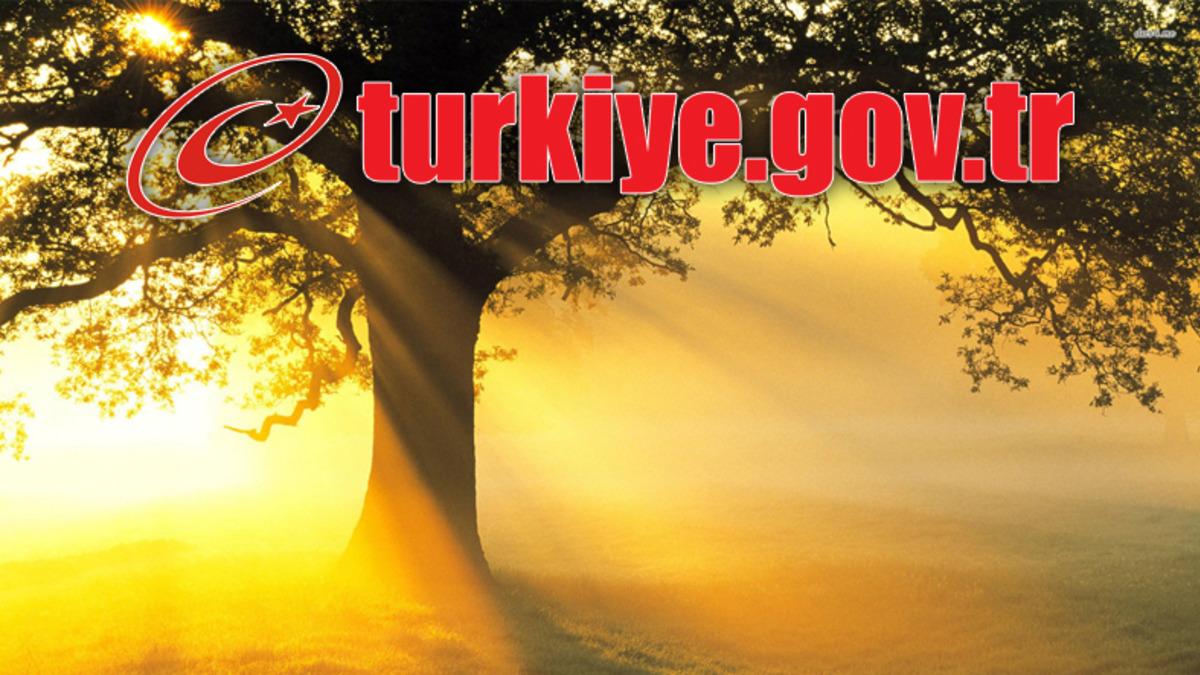 E-Devlet’in Soyağacı Uygulaması Neden Bu Kadar Popüler Oldu?