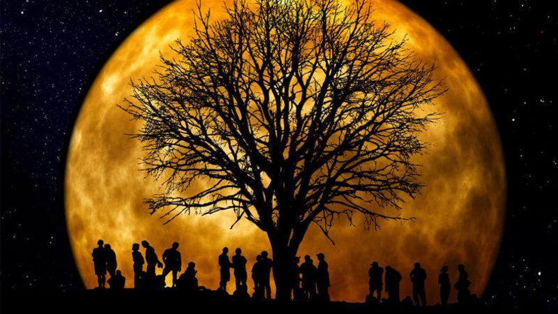 Kayserili Bir Araştırmacı, Soy Ağacında 1300’lü Yıllara Ulaşmanın Formülünü Verdi