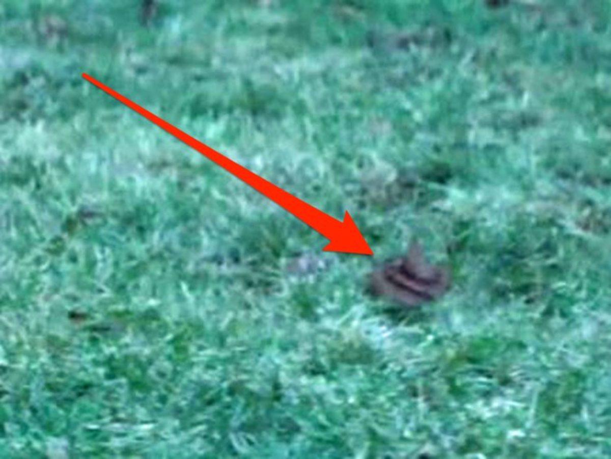 Sahteliğiyle Göze Batan, Filmlerde Kullanılmış 10 Kötü Görsel Efekt