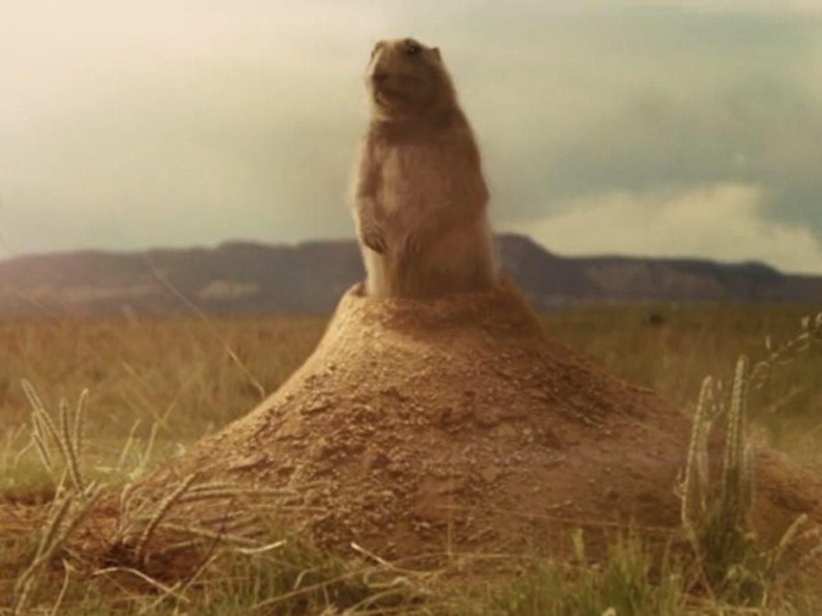 Sahteliğiyle Göze Batan, Filmlerde Kullanılmış 10 Kötü Görsel Efekt