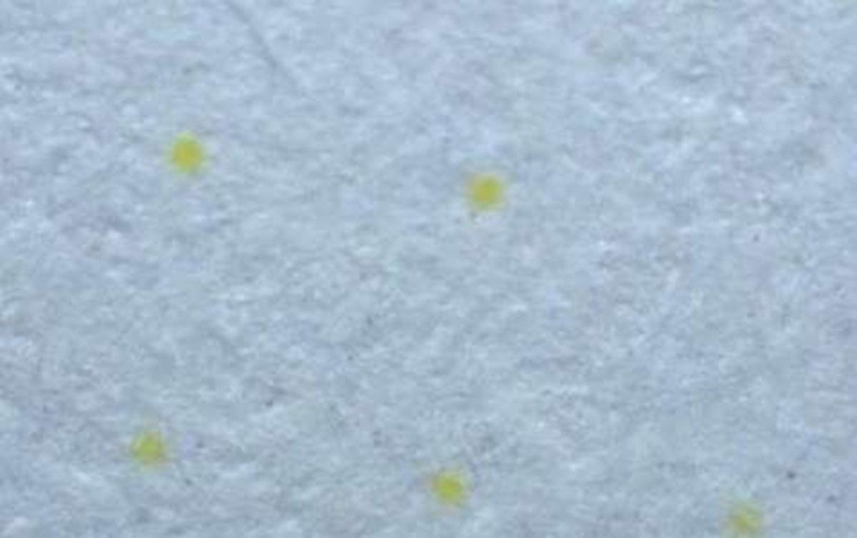 Yazıcıdan Aldığınız Çıktılar Kimliğinizi Ele Verebilir