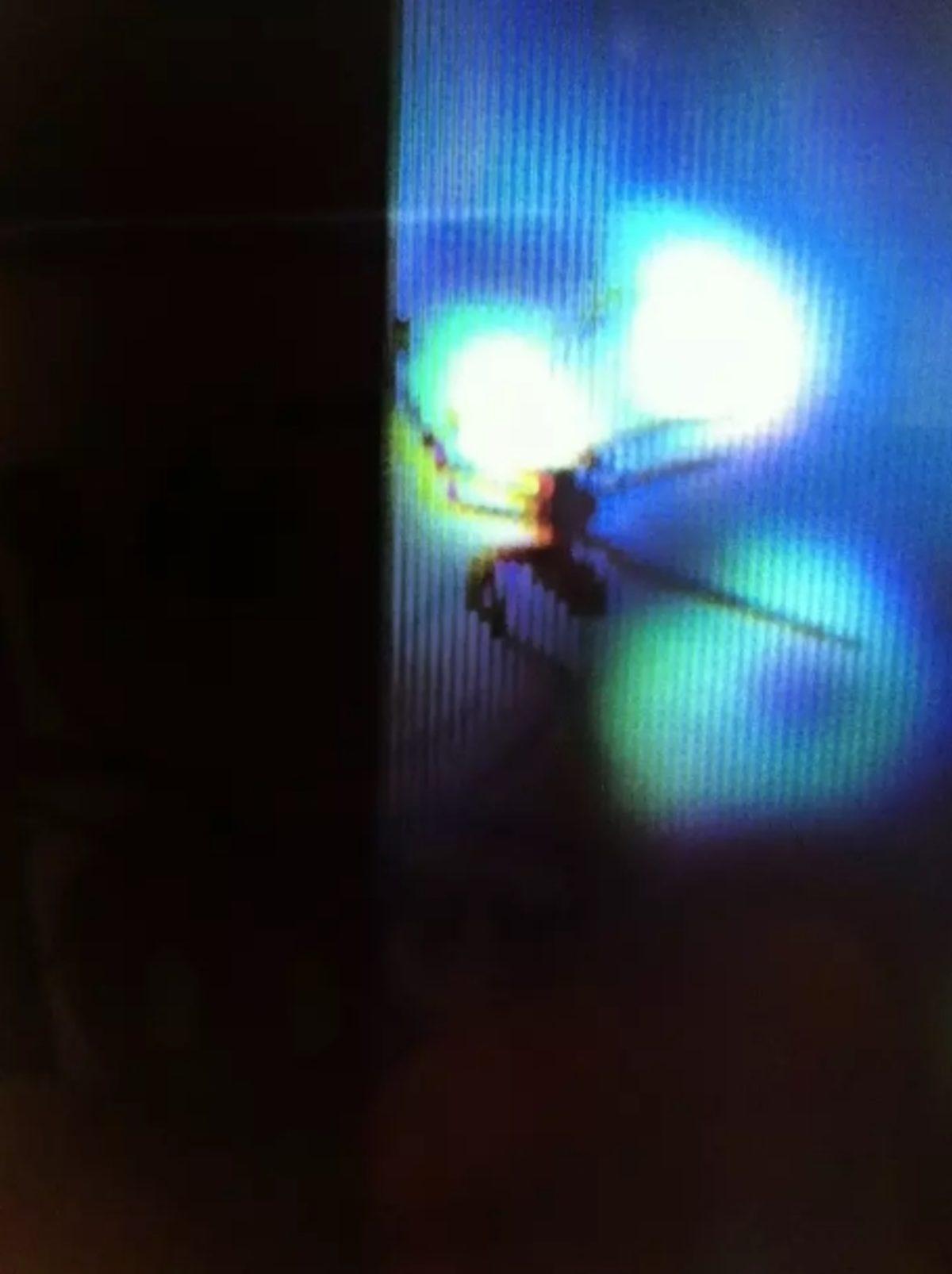 Örümceklerin Her Yerde Olabileceğini Kanıtlayan 23 Fotoğraf