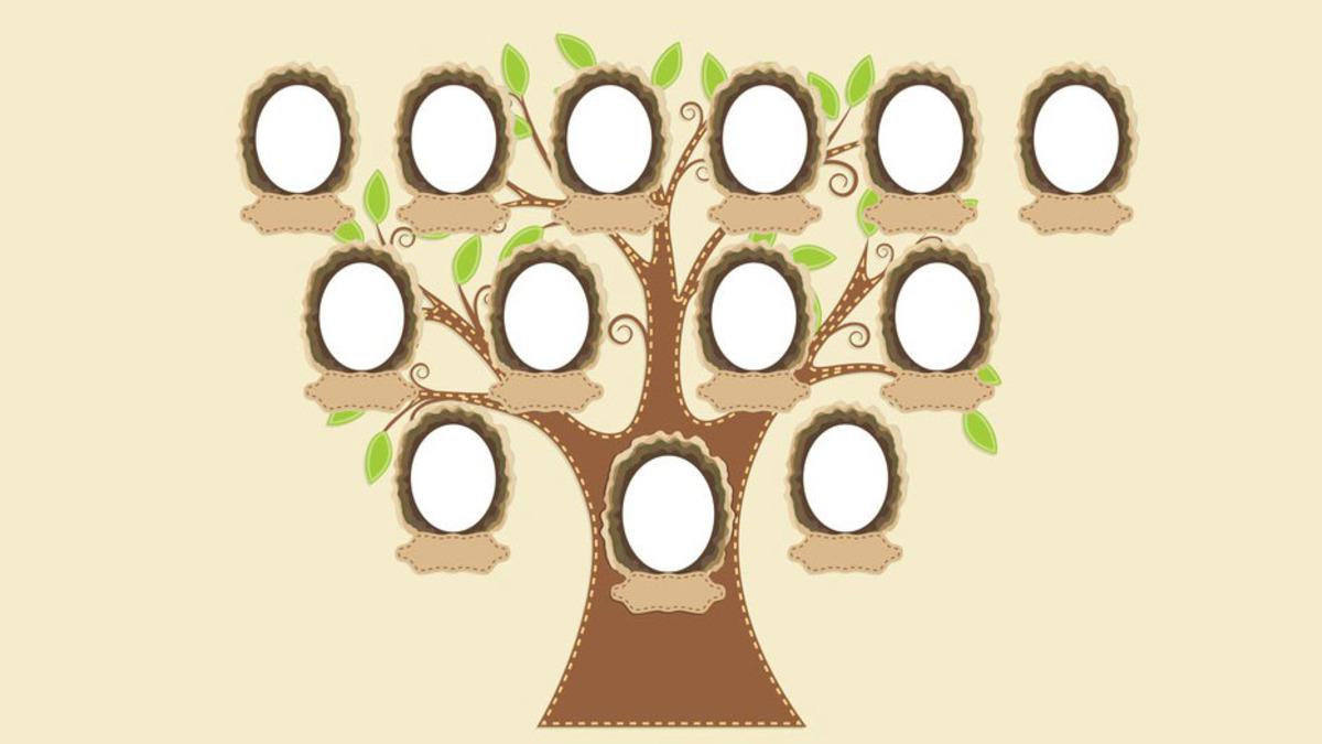 e-Devlet Soyağacınızdaki Bilgi Karmaşasını Giderecek Uygulama