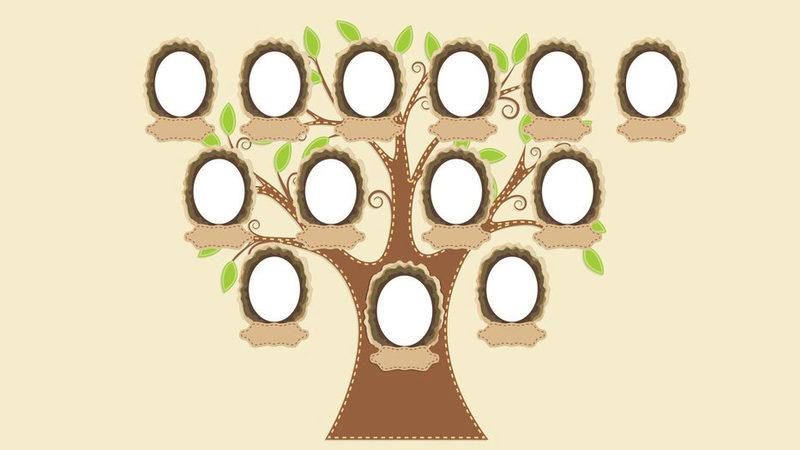 e-Devlet Soyağacınızdaki Bilgi Karmaşasını Giderecek Uygulama