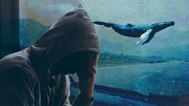 Çocukları İntihara Sürükleyen Mavi Balina Oyununun Ardındaki Çarpıcı Gerçekler