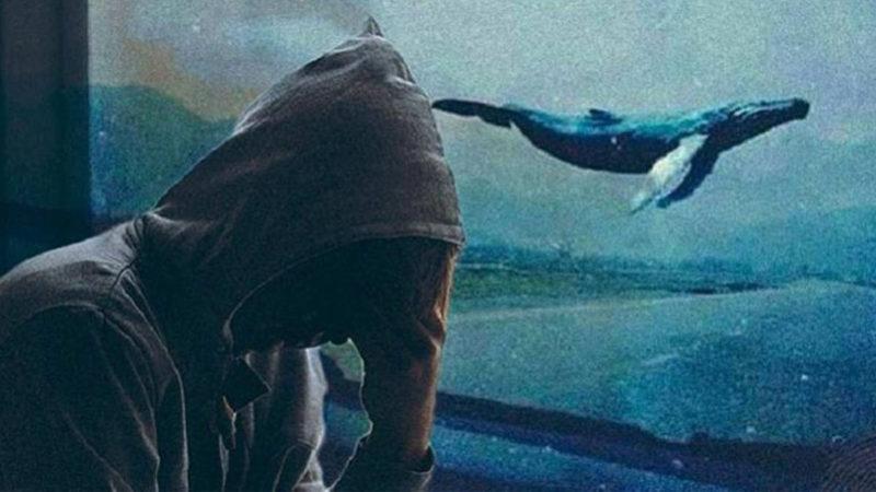 Çocukları İntihara Sürükleyen Mavi Balina Oyununun Ardındaki Çarpıcı Gerçekler