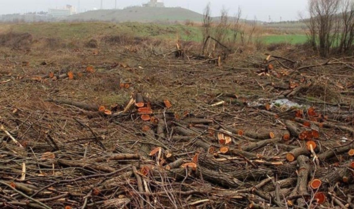 Dünya Üzerinde Tükenme Tehlikesiyle Karşı Karşıya Olan 10 Doğal Kaynak