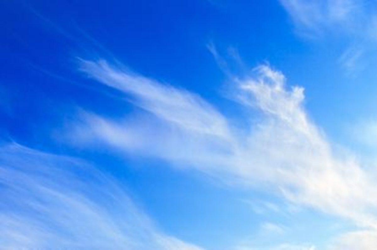 Dünya Üzerinde Tükenme Tehlikesiyle Karşı Karşıya Olan 10 Doğal Kaynak