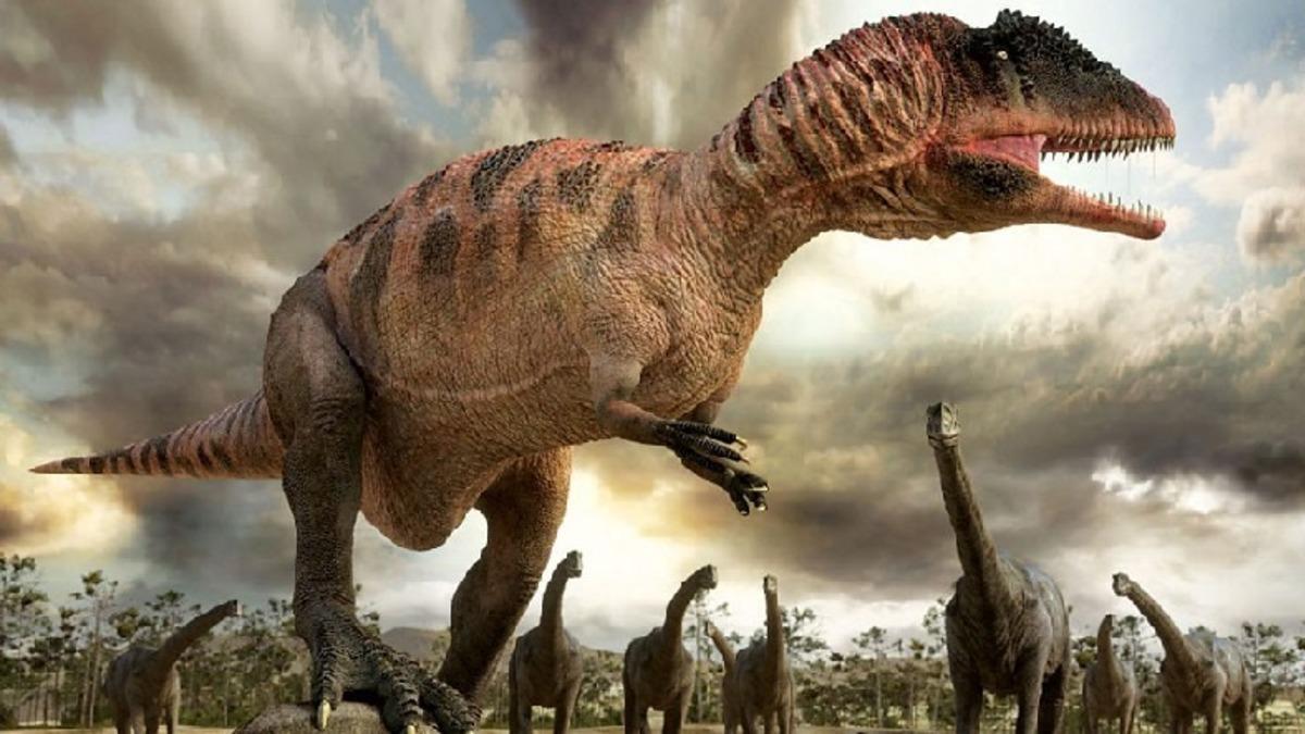 Tavuklar Geçmişte Yaşamış Dinozorların Torunları mı?