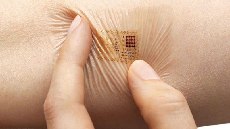 İnsan Vücudundaki En Ağır Organ Hangisidir?