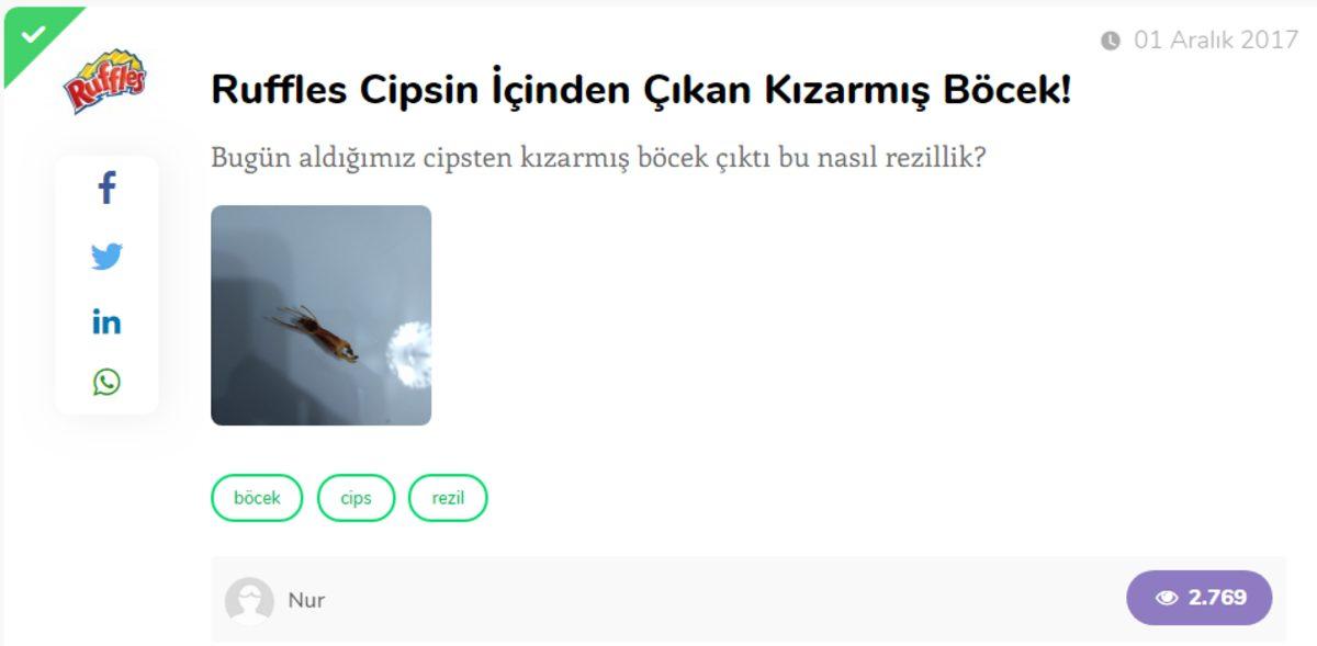 Sosyal Medyayı Sallayan, Ruffles Cipslerinden Fare ve Böcek Çıktığı İddiaları!