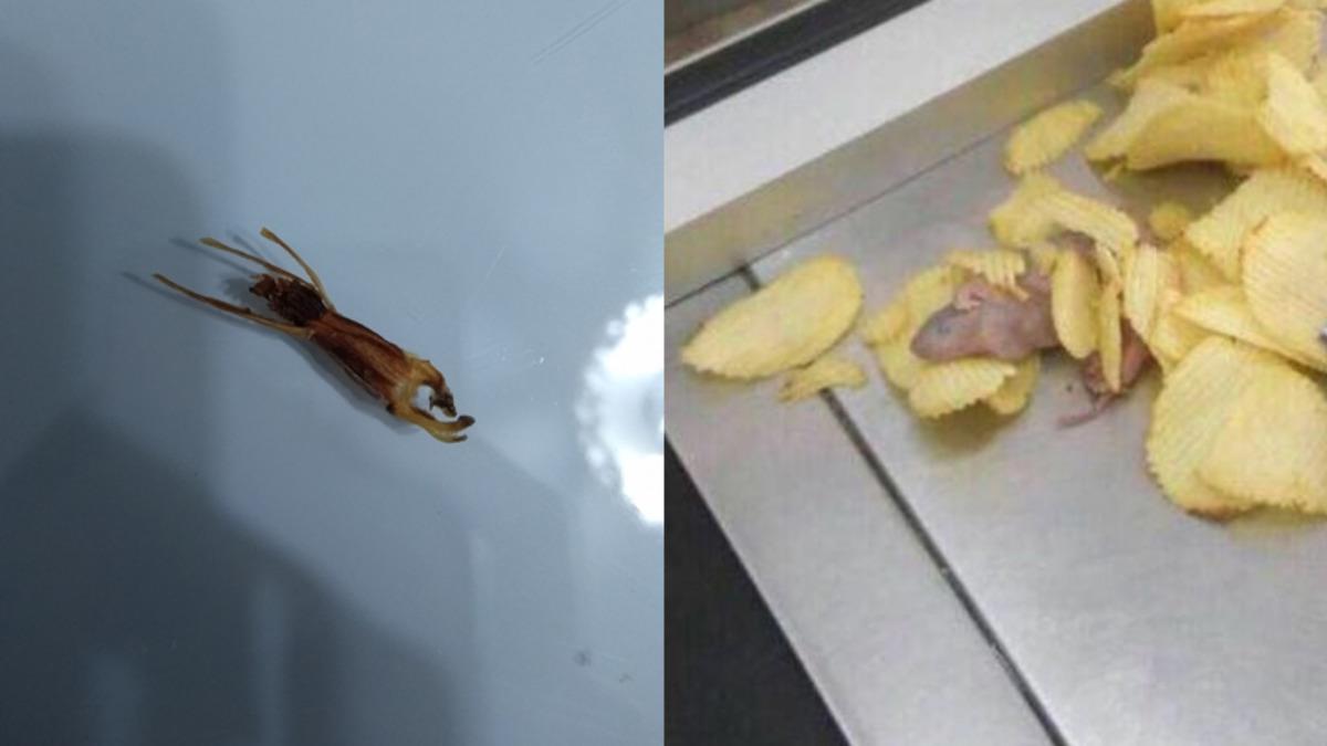 Sosyal Medyayı Sallayan, Ruffles Cipslerinden Fare ve Böcek Çıktığı İddiaları!