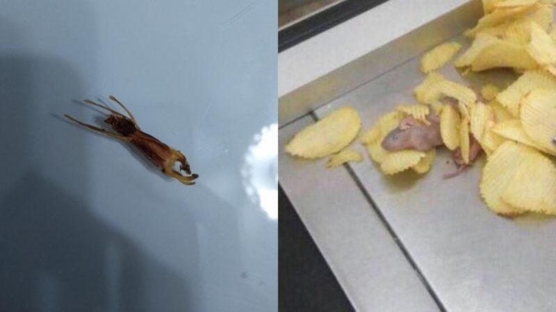 Sosyal Medyayı Sallayan, Ruffles Cipslerinden Fare ve Böcek Çıktığı İddiaları!