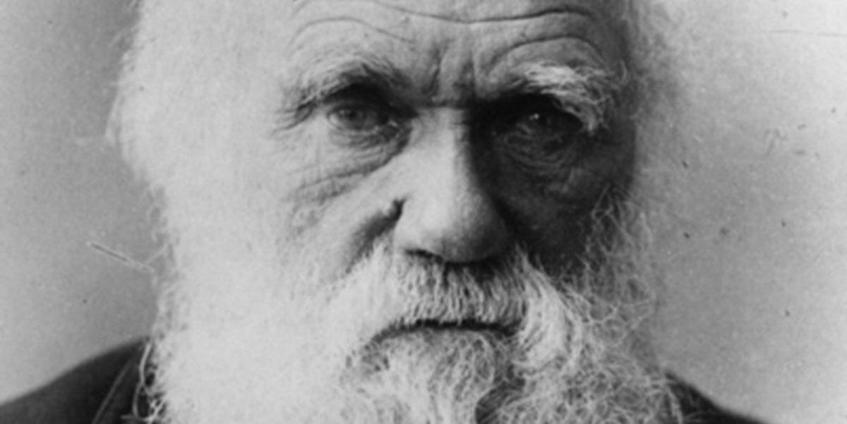 Şimdiye Kadar Yaşamış En Önemli Dahiler ve Onların Mental Hastalıkları