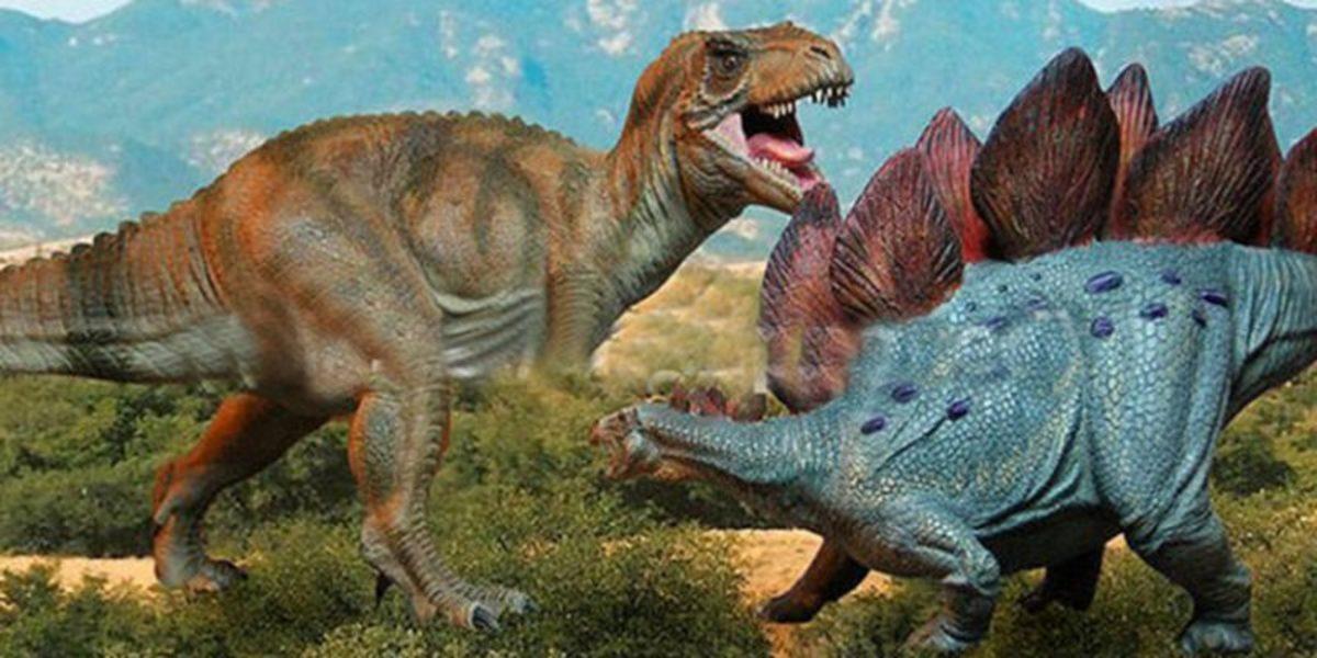 Geçmiş Zaman İle İlgili Ağzınızı Açık Bırakacak 15 Gerçek Bilgi