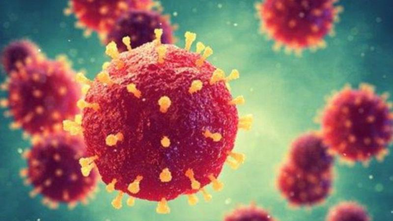 İnsan Sağlığı İçin Faydalı Olan 7 Virüs