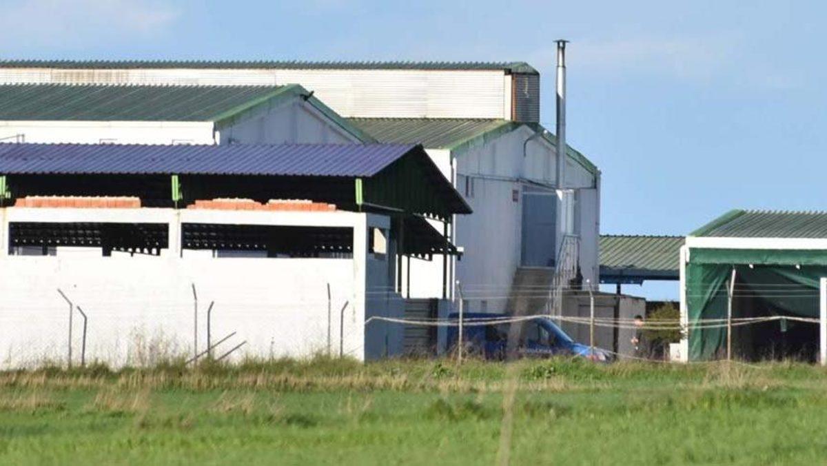 Çiftlik Bank’ta Bugün: Bir Gözaltı, CEO’nun Eşi Teslim Oldu, Çiftliğe Baskın Düzenlendi