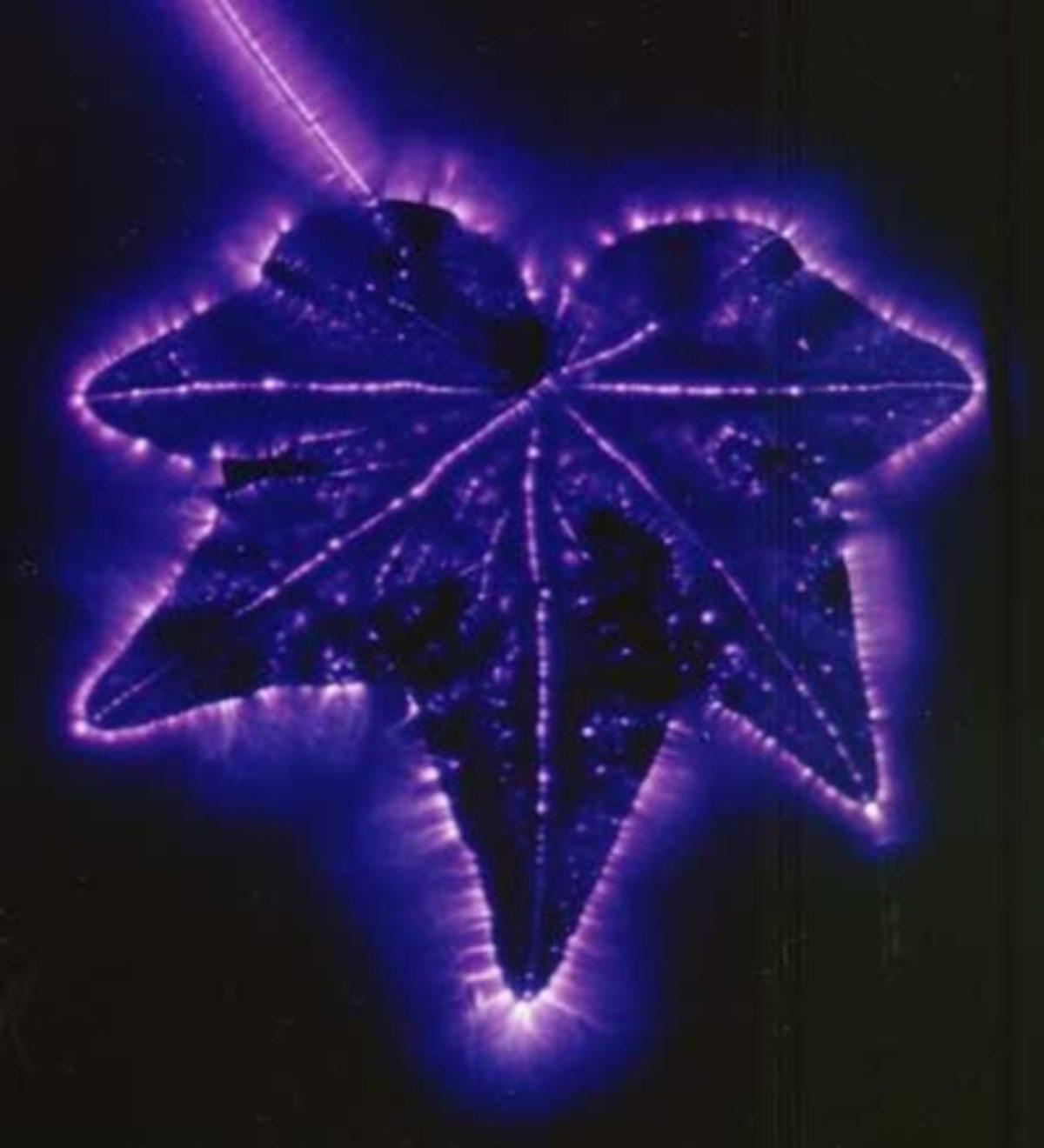 Ruhun Fotoğrafını Çektiğini İddia Eden Sistem: Kirlian Fotoğrafçılığı