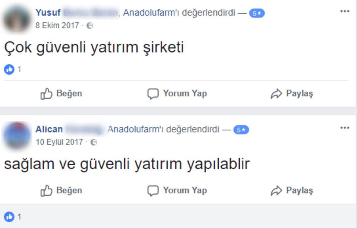 Çiftlik Bank’tan Sonra Çıkan Yeni Bir Dolandırıcılık Hikayesi: Anadolu Farm