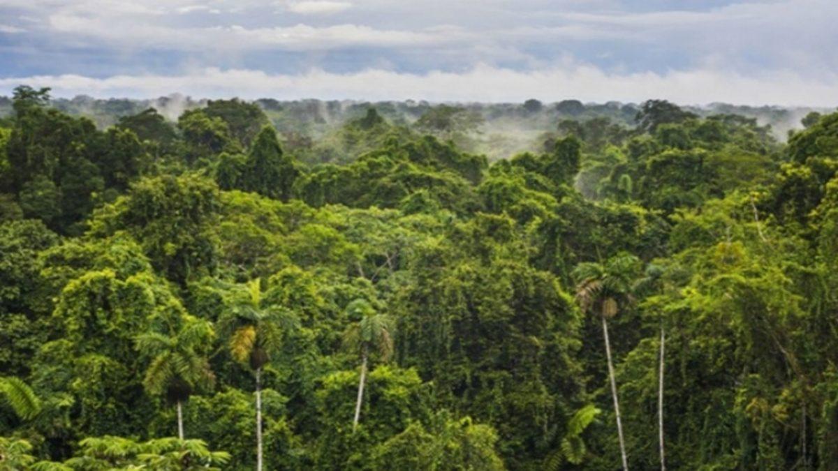 Amazon Ormanlarında Yaşayan İlkel Bir Kabile İlk Kez Görüntülendi