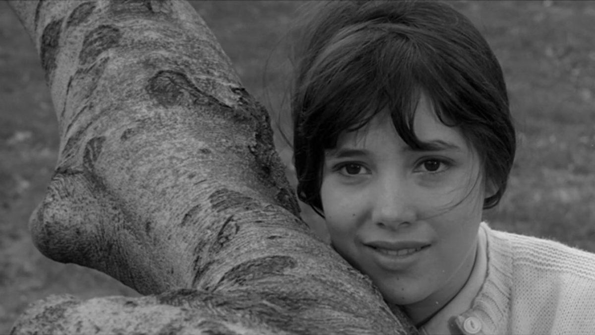 Çoklu Kişilik Bozukluğu Konusunu İşleyen 12 Kaliteli Film