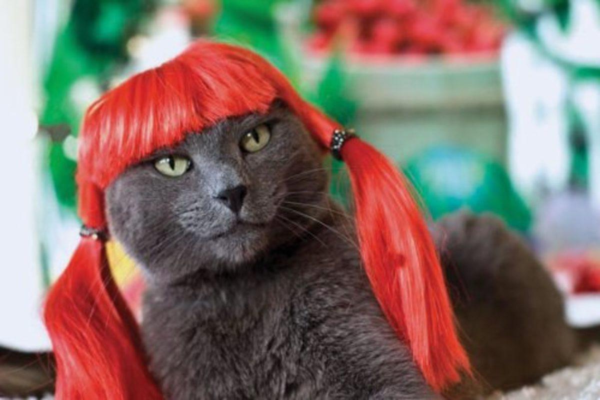 Bugüne Kadar İcat Edilen En Gereksiz 13 Ürün