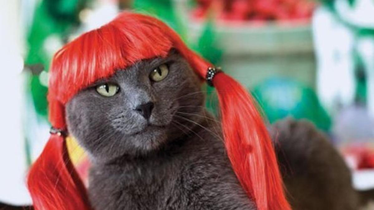 Bugüne Kadar İcat Edilen En Gereksiz 13 Ürün