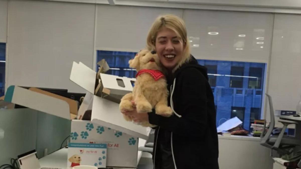 Robot Köpeklerin Yıllar İçerisindeki Muhteşem Gelişimi