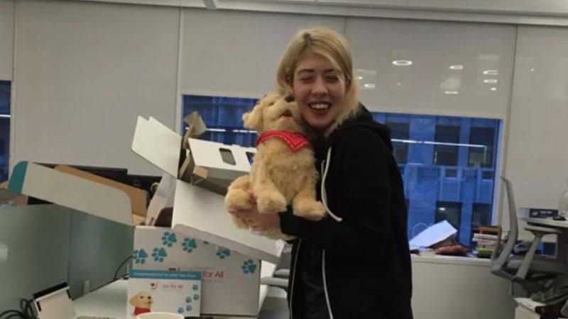 Robot Köpeklerin Yıllar İçerisindeki Muhteşem Gelişimi