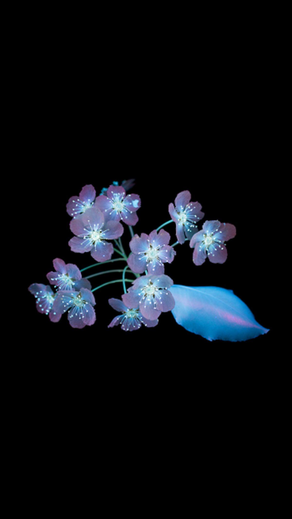 iPhone Cihazlarınızda Kullanabileceğiniz Birbirinden Güzel Duvar Kağıtları