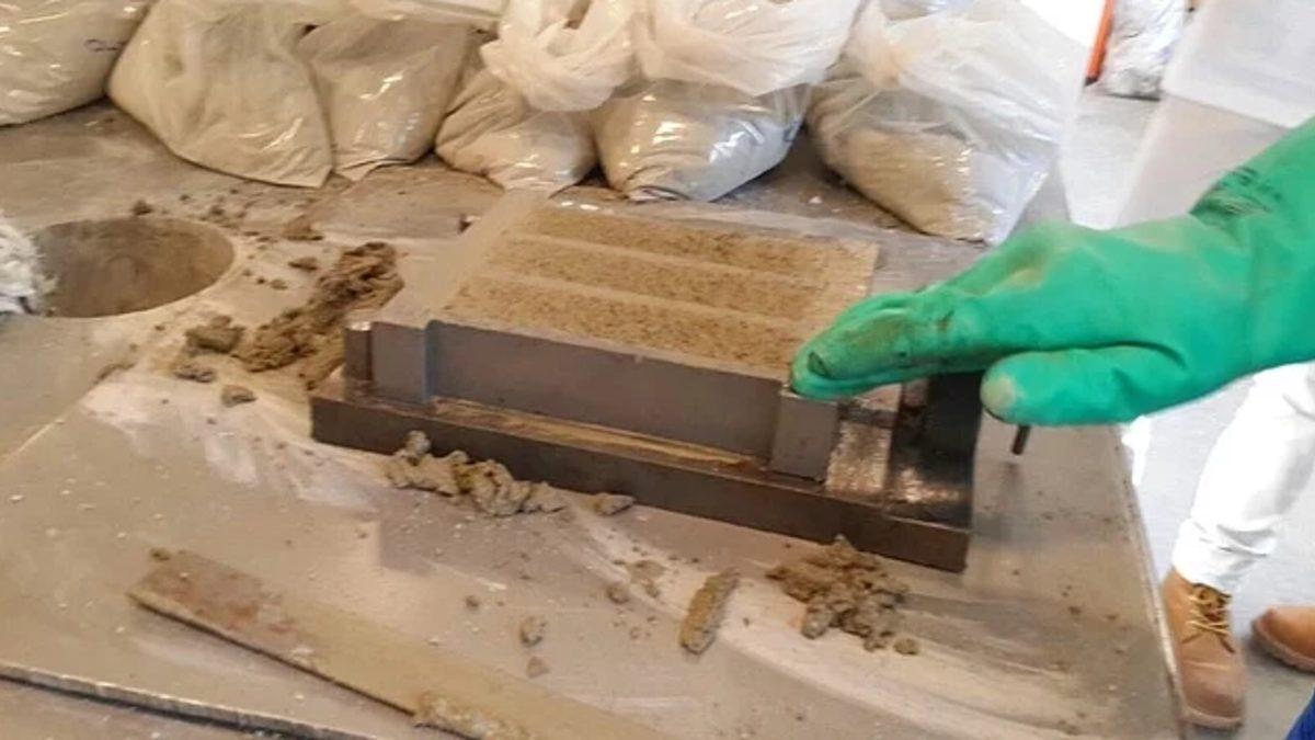 TÜBİTAK’ın Projeleriyle İlgilenmediği İki Lise Öğrencisi Harvard’a Davet Edildi!