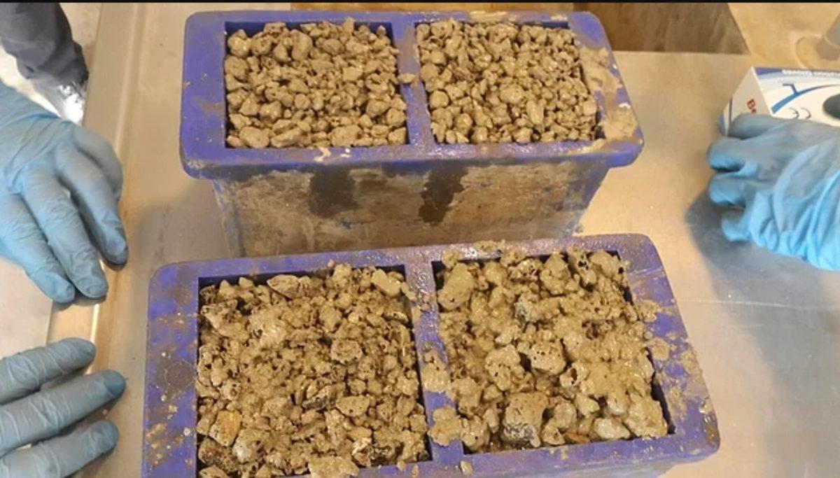 TÜBİTAK’ın Projeleriyle İlgilenmediği İki Lise Öğrencisi Harvard’a Davet Edildi!