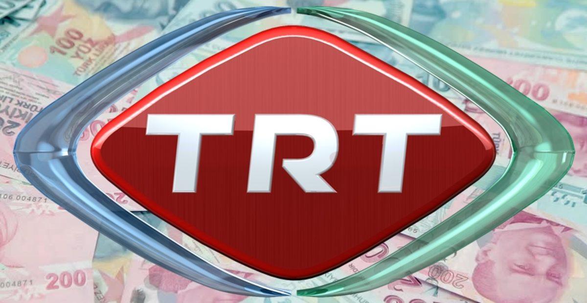 TRT’nin 15 Milyon TL Ödediği Çizgi Film, Gösterime Bile Girmedi!