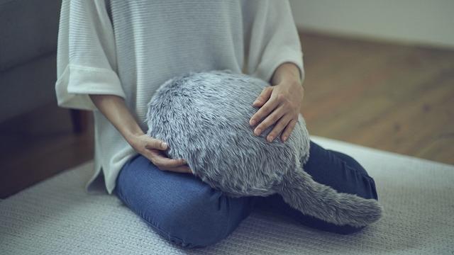 Hayatınızı Daha Kolay Ve Keyifli Hale Getirecek 5 Küçük Robot