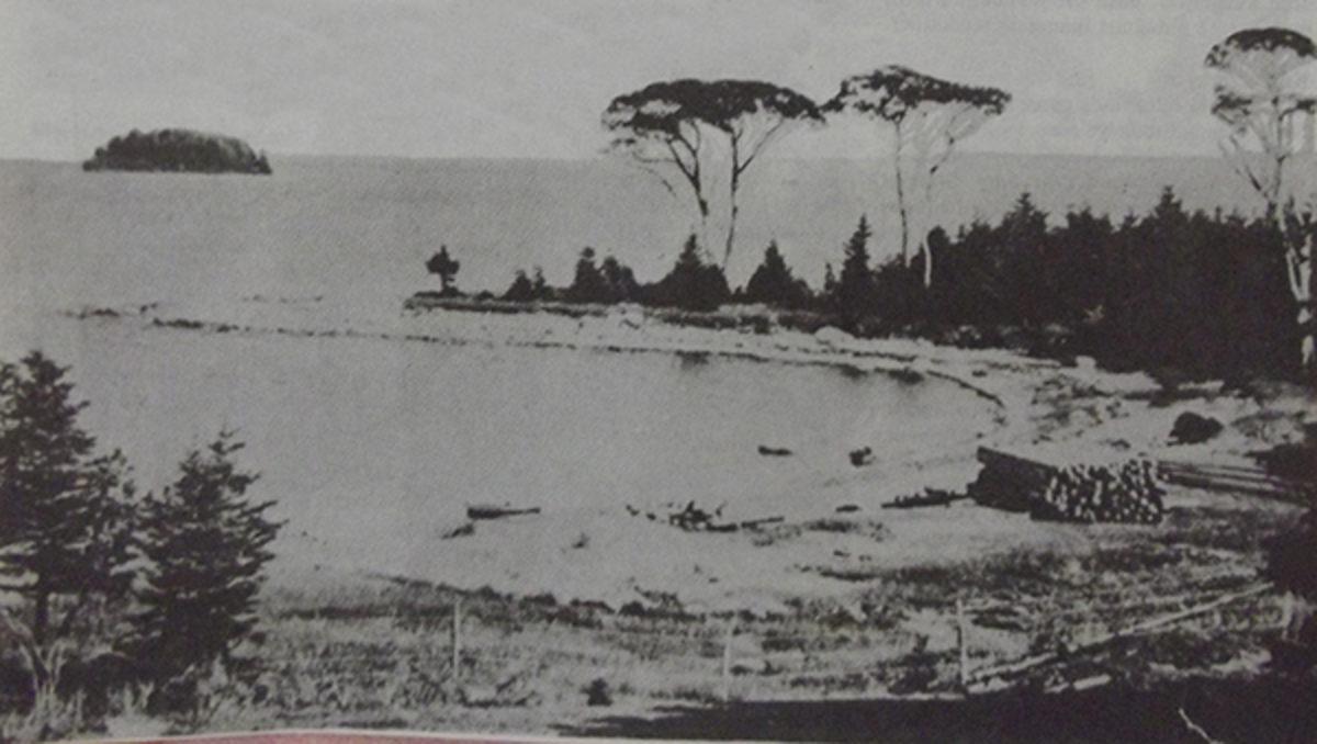 Tam 221 Yıldır Çözülemeyen Büyük Sır: Kanada’daki Oak Adası ve Adanın Dipsiz Çukuru