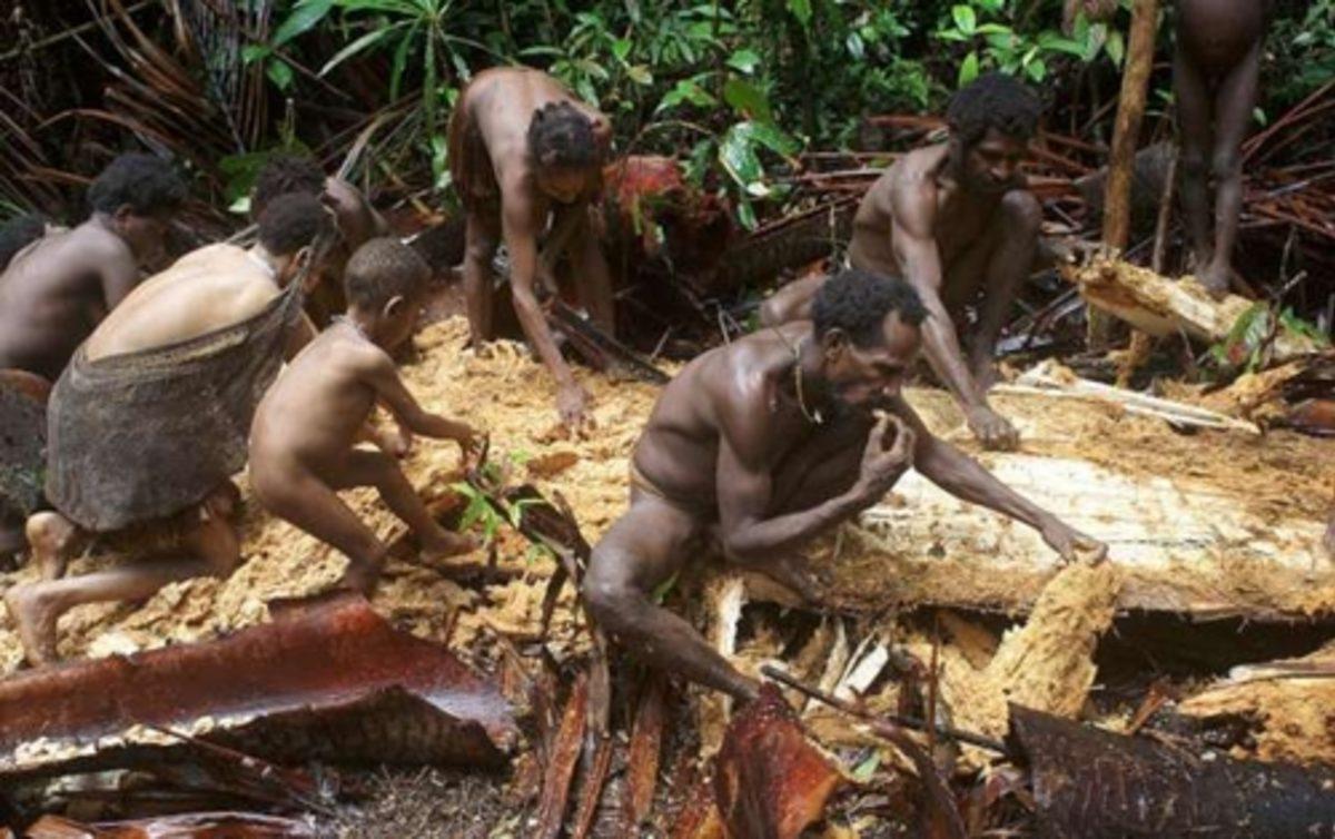 İnsan Eti Yerseniz Ne Olur? Aklınızdan Bile Geçirmeyin!