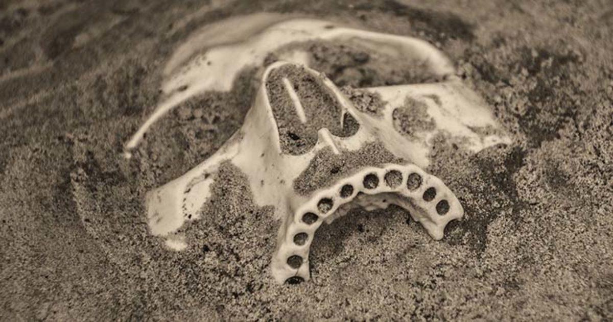 En Gerçekçi Komplo Teorisi: İnsanlardan Önce Akıllı Bir Canlı Türü Var mıydı?