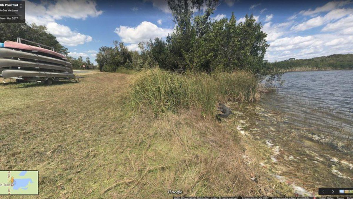 Google Sokak Görünümü’nde Yakalanan En Çılgın 20 Görüntü