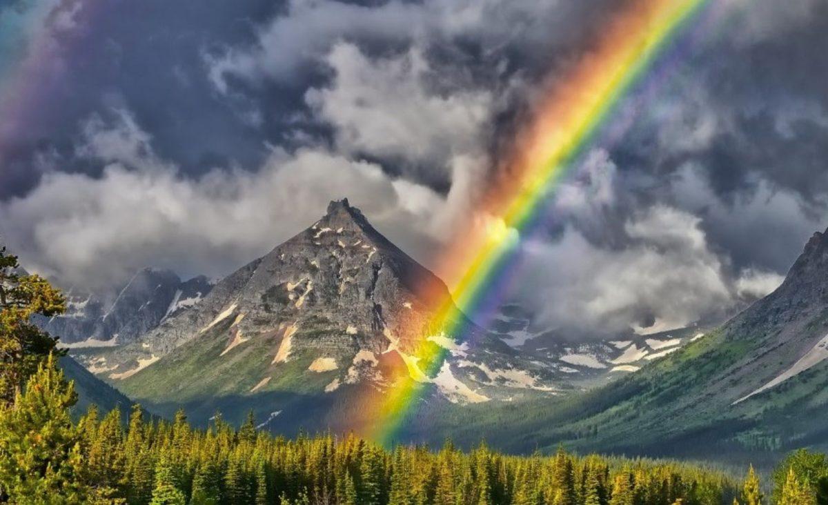 NASA’nın Astronot Olmak İsteyen Adaylara Sorduğu 16 Soru ve Cevabı