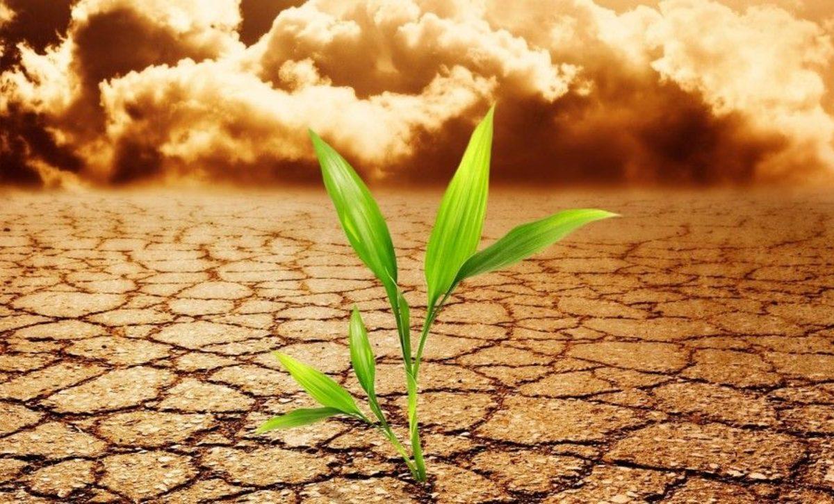 Mevsim Değişimleri Canlıları Nasıl Etkiler?