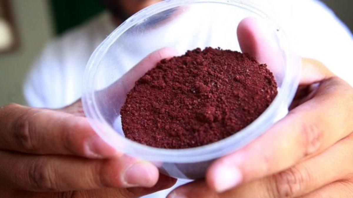 Türkiye’de Satılan İçecek ve Yiyeceklerin Hemen Hepsinde Bulunan Böcek